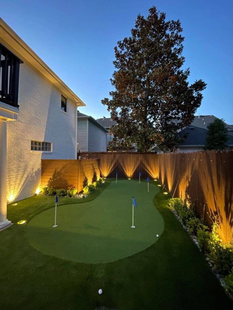 Evening backyard putting green with tree