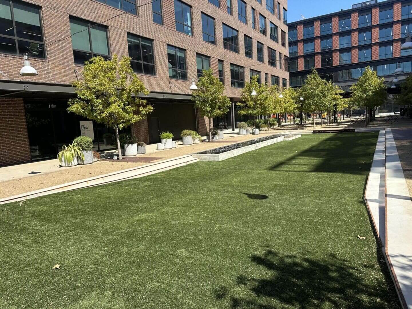 Modern courtyard with grass and trees.
